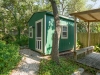 Back Yard "Shedquarters"